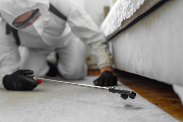 Professional Pest Control technician working in Tulare County County, CA